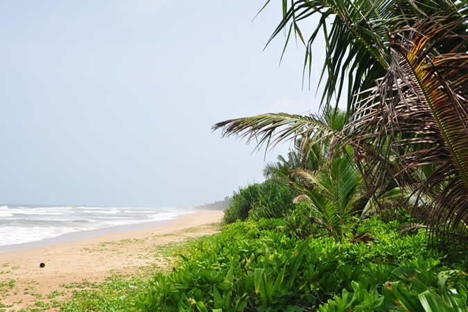 Visite Sri Lanka plages