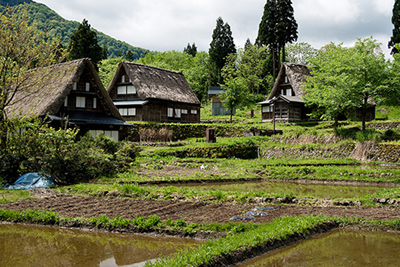 auberges de jeunesse en asie