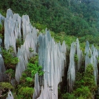 Visiter le Parc Gunung Mulu en Malaisie