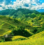 Lieux touristiques à Vietnam : les hauts lieux à privilégier