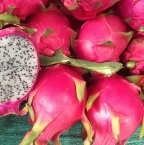 Pitaya du Vietnam : le meilleur fruit à découvrir lors de votre passage au Vietnam