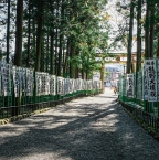 Kanjis et Calligraphie : les écritures japonaises à apprendre lors d'un séjour linguistique au Japon