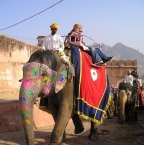 L'Inde, un voyage à la découverte des épices et des coutumes épicées