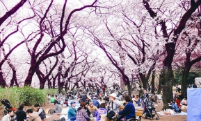 Tourisme au Japon, à la découverte de la culture nippone